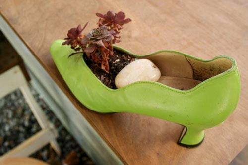 Cách tận dụng giày cũ để... trồng hoa - 15