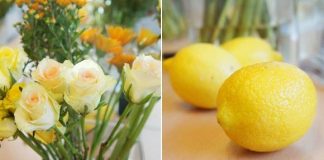 Cách cắm hoa bình vuông để bàn đẹp vàng rực ngày mưa - 1