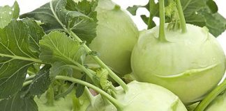 Những bài thuốc tuyệt vời từ củ su hào 1