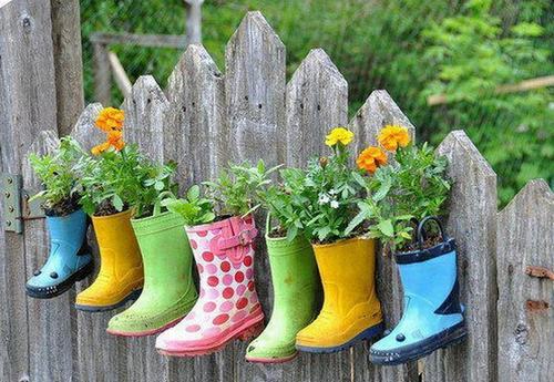 Cách tận dụng giày cũ để... trồng hoa - 3