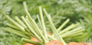 Thực phẩm cho môi đỏ tự nhiên - 1