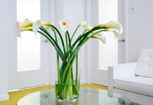 Không gian đẹp nhờ hoa