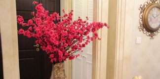 Cách giúp chọn hướng đặt bình đào giúp phát lộc cả năm - 1