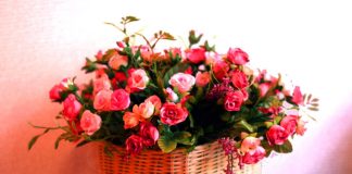 Tại sao không nên bày hoa giả trong nhà 1