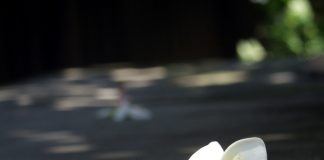 Hướng dẫn 7 lý do cha mẹ không nên ly hôn - 1