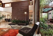 6 loại cây cảnh tốt nhất cho sức khỏe nơi làm việc - 1