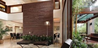 6 loại cây cảnh tốt nhất cho sức khỏe nơi làm việc - 1