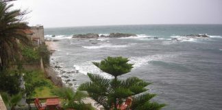 43121586.jpg (3648×2736)