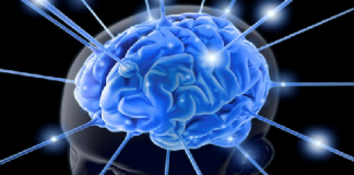 5-cach-giup-ban-co-tri-nho-tot-hon