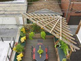 Tạo vườn xanh trên sân thượng - Archi