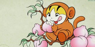 Tuổi và công việc theo con giáp của bạn (P2) - 4