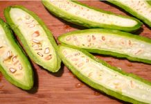 Hướng dẫn cách trồng mướp đắng trong vườn nhà - 1