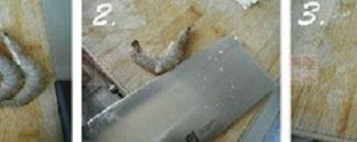 cách-làm-tôm-nướng-tỏi-giòn-ngon-thơm-nức-cho-bữa-trưa-1