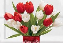 Hướng dẫn những loại hoa không nên đặt trong phòng ngủ Những loại hoa cần tránh đặt trong phòng ngủ - Archi