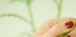 Cách cắm hoa diên vĩ xanh trang trí nhà dịp Tết