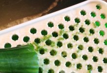 Nhật ký Hana: Thu nhỏ lỗ chân lông nhanh chóng - 1