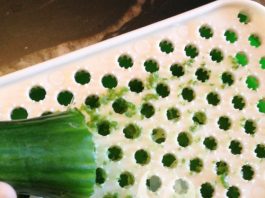 Nhật ký Hana: Thu nhỏ lỗ chân lông nhanh chóng - 1