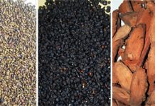 Những bài thuốc chữa huyết áp, Sức khỏe, bai thuoc chua huyet ap, chua huyet ap, huyet ap cao, huyet ap thap, suc khoe, bai thuoc hay,