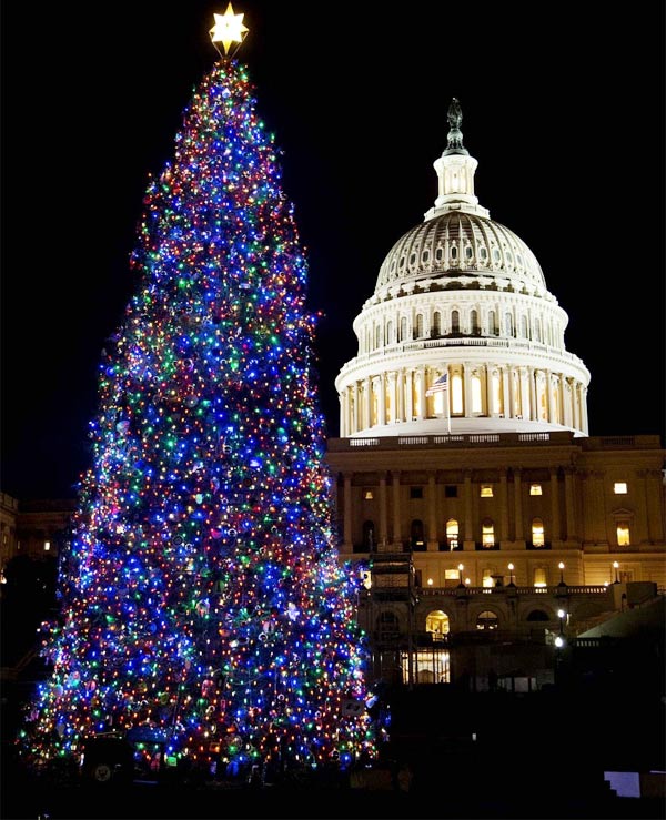 Ngắm những cây thông Noel hoành tráng nhất thế giới