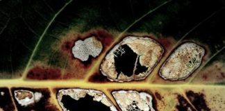 6 bức tranh không nên treo ở văn phòng - 1