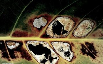 6 bức tranh không nên treo ở văn phòng - 1