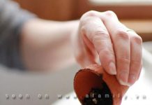 Hướng dẫn trồng cây cảnh trong vỏ trứng - 1