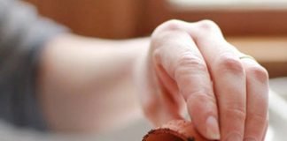 Hướng dẫn trồng cây cảnh trong vỏ trứng - 1