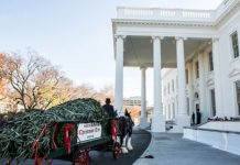 Nhà Trắng trang trí Giáng sinh 2012 đẹp mê ly - 1