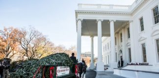 Nhà Trắng trang trí Giáng sinh 2012 đẹp mê ly - 1