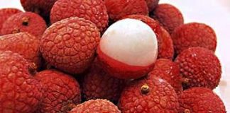 Mách bạn những loại quả chữa trị bệnh 