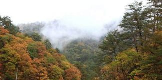 Khám phá 7 ngọn núi kĩ vĩ nhất Hàn Quốc 