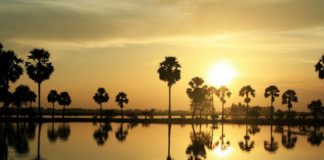 Lung linh mùa nước nổi An Giang - 1