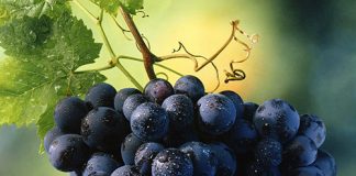 5 công thức chống nếp nhăn tuyệt vời - 1