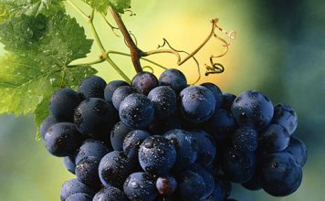 5 công thức chống nếp nhăn tuyệt vời - 1