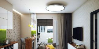 Thiết kế căn hộ chung cư 47m2 cho anh chàng độc thân - 1