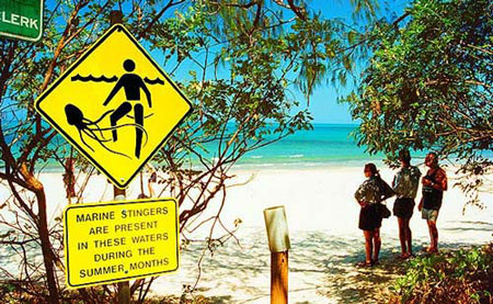 10 bãi biển nguy hiểm nhất thế giới - 4