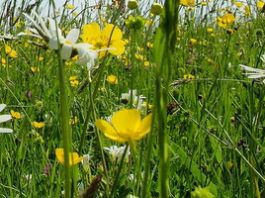 Tạo điểm nhấn 