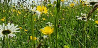 Tạo điểm nhấn 