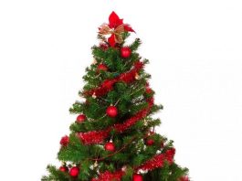 9 kiểu trang trí cây thông Noel tuyệt đẹp! 2