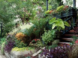 Hướng dẫn cách thiết kế những lối đi đẹp cho nhà vườn  - 1