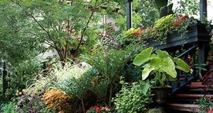 Hướng dẫn cách thiết kế những lối đi đẹp cho nhà vườn Hướng dẫn cách thiết kế những lối đi đẹp cho nhà vườn - 1