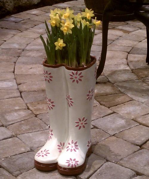 Cách tận dụng giày cũ để... trồng hoa - 10