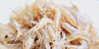 Tép rang hành tỏi giản dị ngon cơm 2