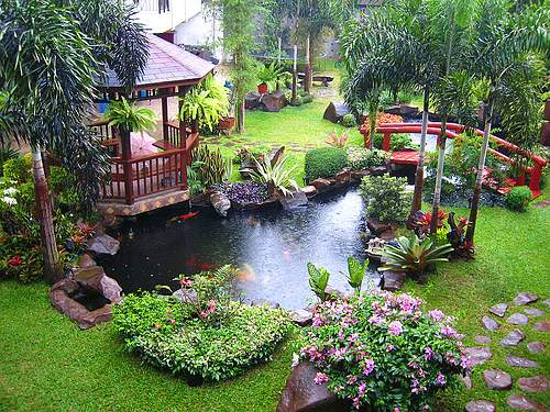 tropical-garden-water-feature_1.jpg (500×375)
