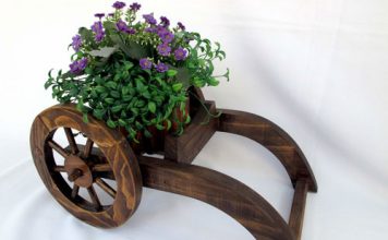 Làm mới sân vườn - Archi