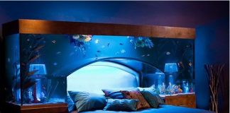 6_dieu_kieng_ky_phong_ngu_1