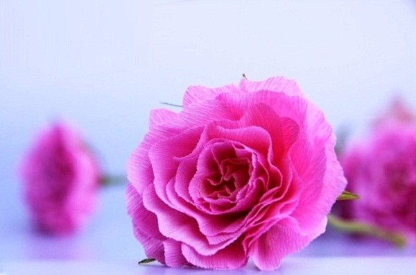 Ngọt ngào bông hồng giấy nhún bọc kẹo 7