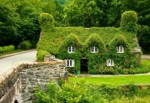 Chiêm ngưỡng những ngôi nhà cổ tích giữa đời thực 1