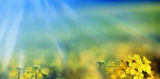 Đoán tính cách qua sở thích thiên nhiên - 1