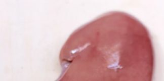 Cách nấu cháo cật heo nóng hổi bổ dưỡng cho cả gia đình - 1